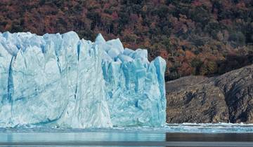 Land of Ice & Roots