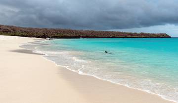 Galapagos Wild Realm Tour