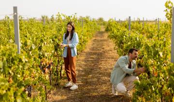 Escapade à Mendoza circuit