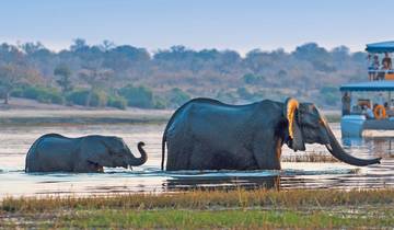 Große Afrikanische Safari