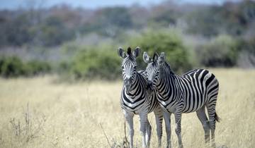 Southern Africa Discovery 2027