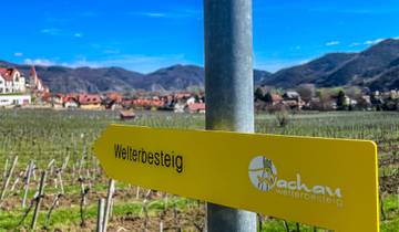 Welterbesteig Wachau, Krems - Spitz