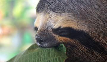 Le Panama parfait - 12 jours circuit