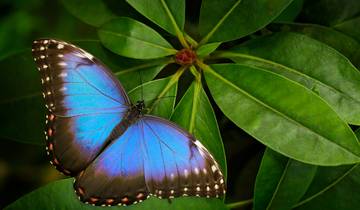 Le Panama parfait - 12 jours circuit