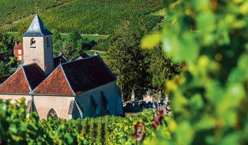 Saveurs du Rhône - Croisière culinaire 2027 - 8 jours (from Lyon to Marseille) circuit