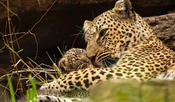 Circuito 12 Días Tanzania Big Five Cultural y Playa de Zanzíbar