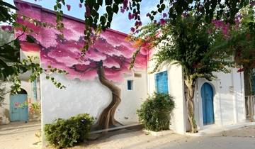 Exotisch Tunesië Top Deluxe 11 Nachten | 12 Dagen-rondreis