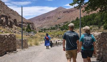 5 jours Vignobles, montagnes et saveurs locales - Mendoza Wine & Andes Adventure