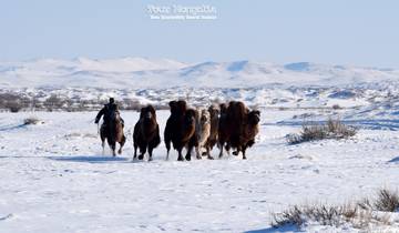 Circuito Fiesta del Hielo - Fiesta del Águila