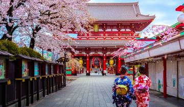 17 Tage Best of China nach Japan Kirschblüte Kleingruppenreise (4 Sterne Hotels) Rundreise