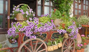 Circuito Slow Balkans by Rail: Bulgaria y Rumanía: ciudades antiguas, castillos, pueblos y montañas