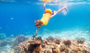 6-tägiges Hurghada & Kairo Tour Paket: Rotes Meer, Pyramiden & Safari Rundreise