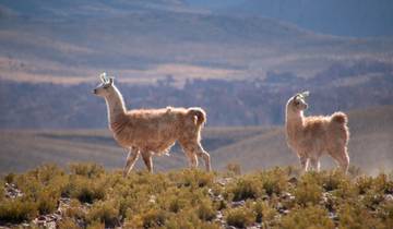 Circuito BOLIVIA TRADICIONAL EN MOVIMIENTO