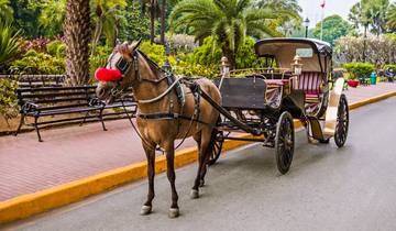 Assuan Stadtrundfahrt in der Pferdekutsche Rundreise