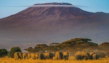 Circuit privé personnalisé de 13 jours au Kenya et en Tanzanie avec plage à Zanzibar circuit