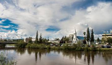 Alaska Discovery Land & Cruise con un Crucero Holland America de 7 noches (Fairbanks, AK a Vancouver, BC) (2027) (Estándar)