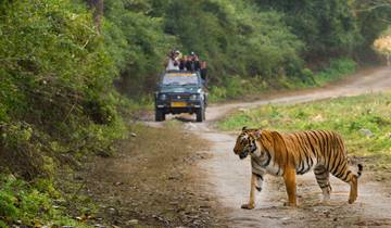 Indien Safari & Heritage Trails von G Experiences