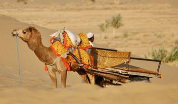 Les points forts du Rajasthan et les pistes du safari dans le désert par G Experiences circuit