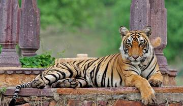 North India Historic Trails By G Experiences