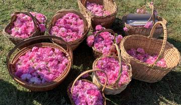 Cueillette de roses bulgares (spécial mai) circuit