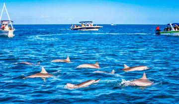 Circuit privé personnalisé de 6 jours à l'île Maurice avec hôtels 5 étoiles, départ quotidien