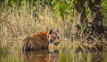 Noord-India & tijgersafari's door G Experiences