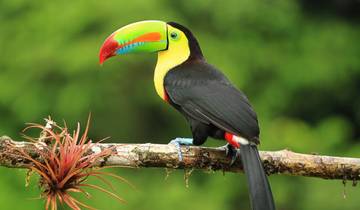 Costa Rica Ontsnappen aan de Stille Oceaan-rondreis