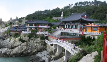 Zuid-Korea Herfstbloemenfestival - 7 dagen