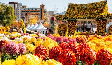 Südkorea Herbstblumenfest - 7 Tage Rundreise