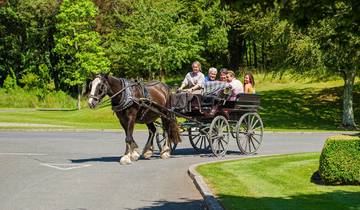 Best of Ireland South (Tour A) - 8 Days/7 Nights Tour