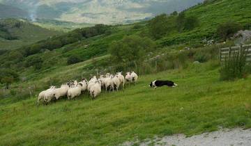 Mystical Ireland - 8 Days/7 Nights Tour