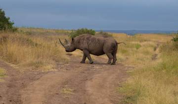Safari nocturne dans le parc national de Nairobi circuit