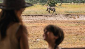 Best of Africa Safari 10 Days | Zimbabwe - Botswana Chutes Victoria - Chobe - Makgadikgadi - Delta de l\'Okavango circuit