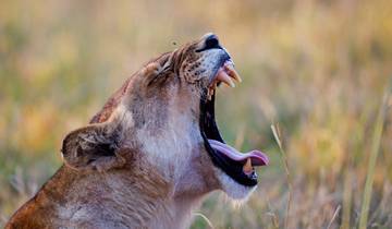Circuito Safari Ultimate Desert & Delta 17 Días | Zimbabue - Botsuana - Namibia Cataratas Victoria - Delta del Okavango - Desierto del Namib - Damaraland - Etosha