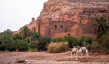 Marrakech : 5-Days Private A Teste Of Morocco Essaouira & Ait Ben Haddou