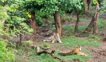 Circuito Rutas por el Patrimonio de la India y Safari del Tigre By G Experiences