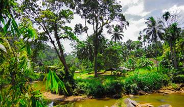 Silvester in Sri Lanka (15 Tage)