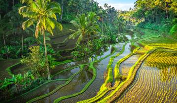 Bali / Indonésie : Deluxe circuit