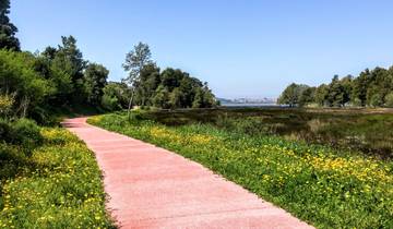 Northwest Portugal family trip 7 Days