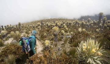 MTB Colombie : Au-delà des sentiers - *CYCLE* guidé (tout compris)