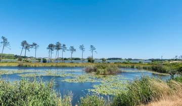 Von Porto nach Mira für Familien (6 Tage) Rundreise