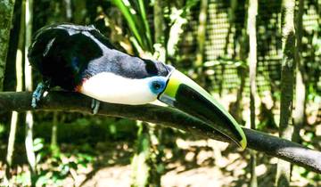 14-Day Cultural & Adventurous Odyssey