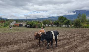 14-Day Cultural & Adventurous Odyssey