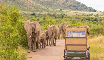 Aventure de luxe de 4 jours - Black Rhino Game Lodge