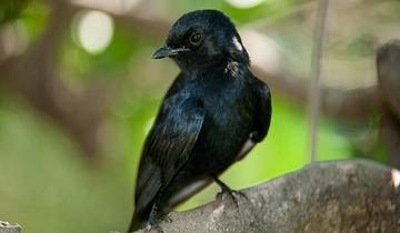 3-Day Johannesburg Exclusive Luxury Experience