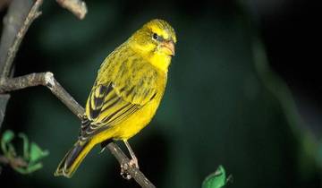 3-Day Johannesburg Exclusive Luxury Experience