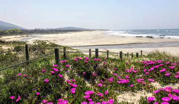 De Portugese Atlantische Camino (15 dagen)-rondreis