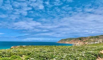 PREMIUM Sintra-Cascais Genuss- & Wandererlebnis (7 Tage)