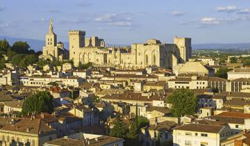 Along the Rhône between Lyon, the Camargue and Provence, with a COMPLIMENTARY dinner at the Abbaye de Collonges ¿ Paul Bocuse (port-to-port cruise)