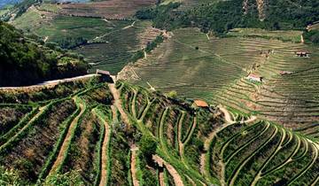 Douro-Tal mit dem Rennrad (8 Tage)